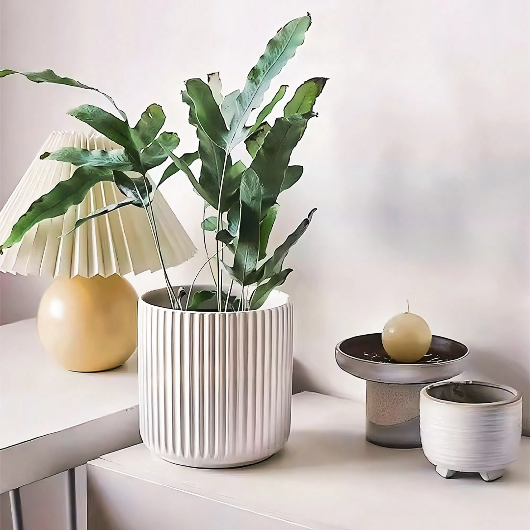 GreenPlant | Moderner Plastik-Blumentopf für Innen- und Außenbereich